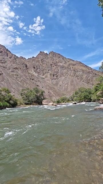 Горная река смотреть онлайн