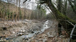 Участок у речки с панорамным видом на горы в элитном районе Ялты. Площадь 15 соток. 15 000 000.