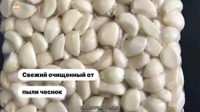 Оптовые продажи Чеснок Сушеный Гранулы Поставщик смотреть онлайн