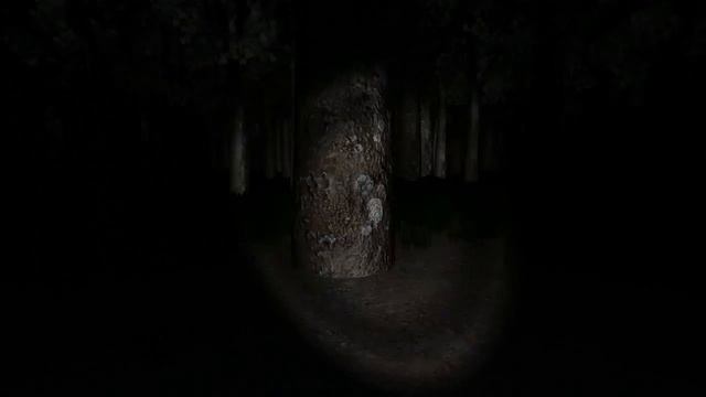 Slender #1 смотреть онлайн