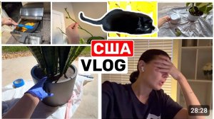 США ВЛОГ Я в восторге! Как вам? Подарок который хочет Лаврик Семейный ВЛОГ