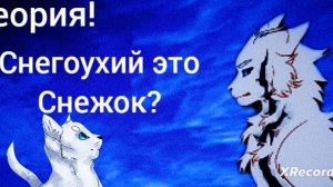 |коты воители|теория|Снегоухий это Снежок?|котывоители|[Снегоухий﹤﹥Снежок]