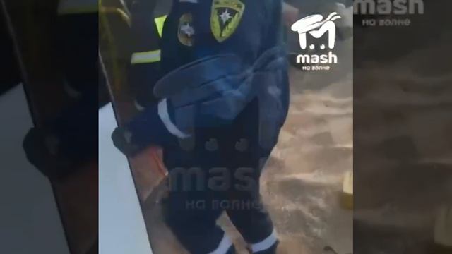 24.03.2025г. Пять человек погибли в ДТП с автобусом под Симферополем.