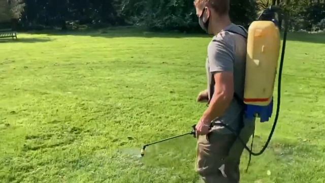 TG Tips Treating Lawn Diseases - Red Thread смотреть онлайн
