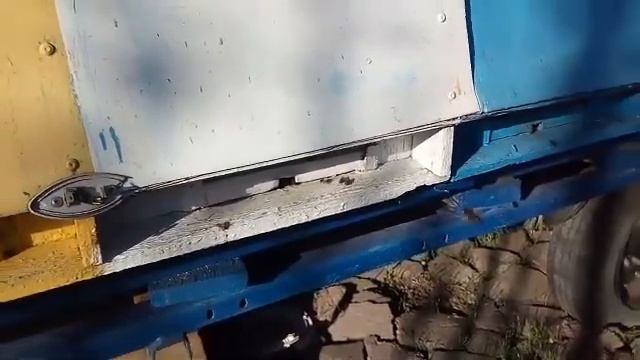 Пчелы!…28 декабря 2017 года ! Пчёлы летают смотреть онлайн
