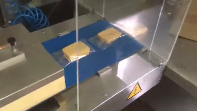 Горизонтальная упаковочная машина Delta 500 LDR сыр