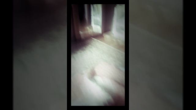 Вы мне можете писать запросы на пони обработки + рассказываю Кто такой синий кит