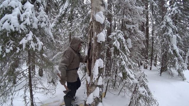 Нашёл избушку у таёжной берега реки. Интересно живой ли хозяин 1/2 серия (18.01.25) смотреть онлайн