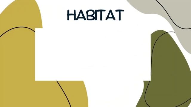 Trabajo Practico De Biologia - Reino Animalia