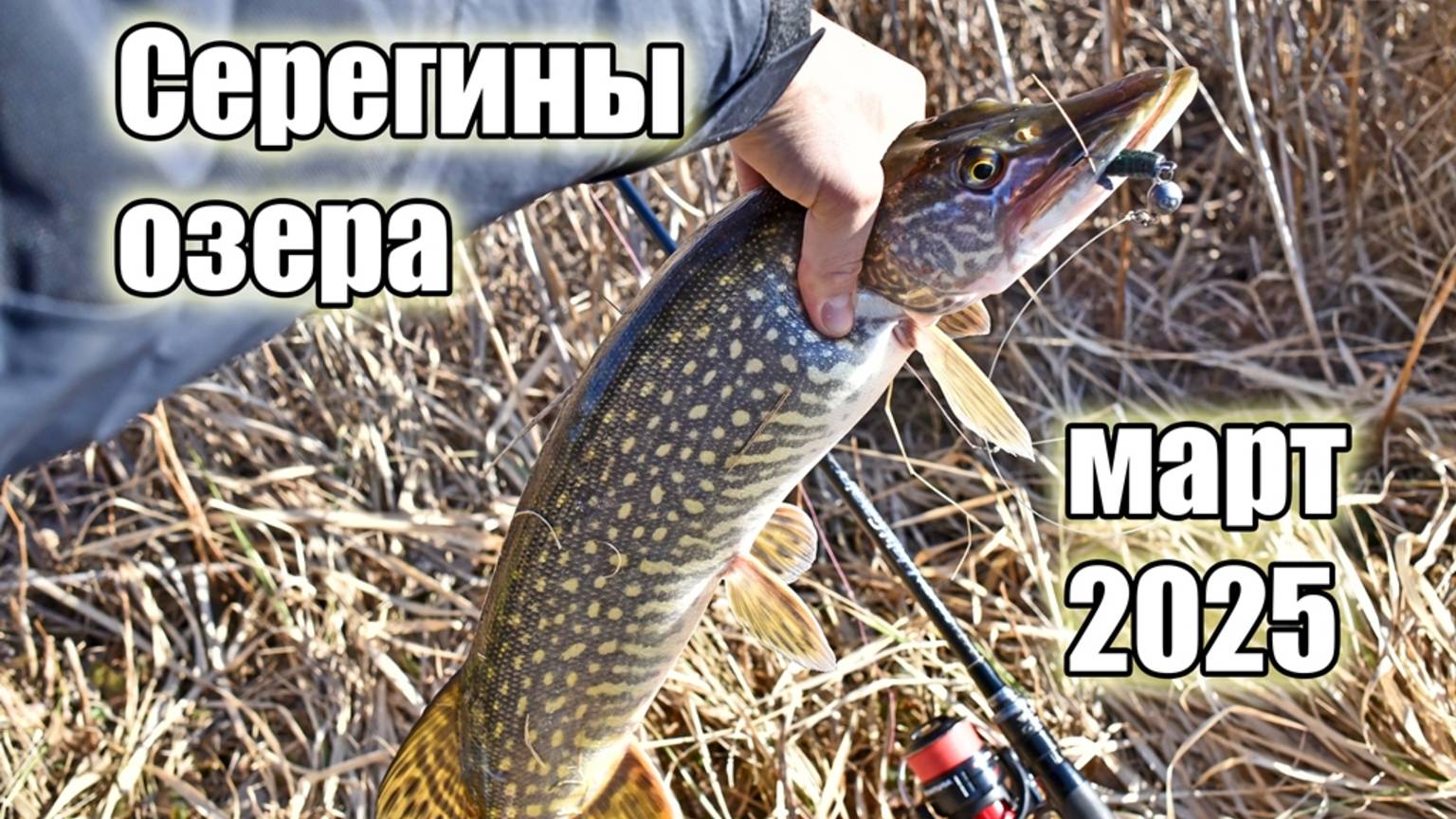 Мощный старт в щучий март