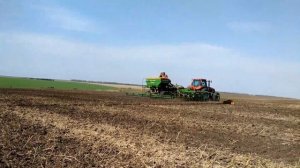 Посев озимой пшеницы сеялкой Amazone Primera DMC 9000