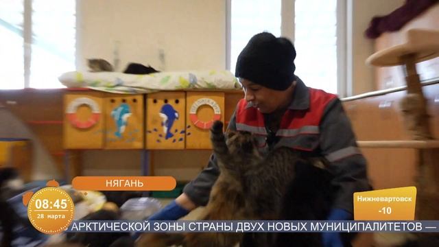 Бездомные животные в городском приют Нягани ждут своих хозяев смотреть онлайн