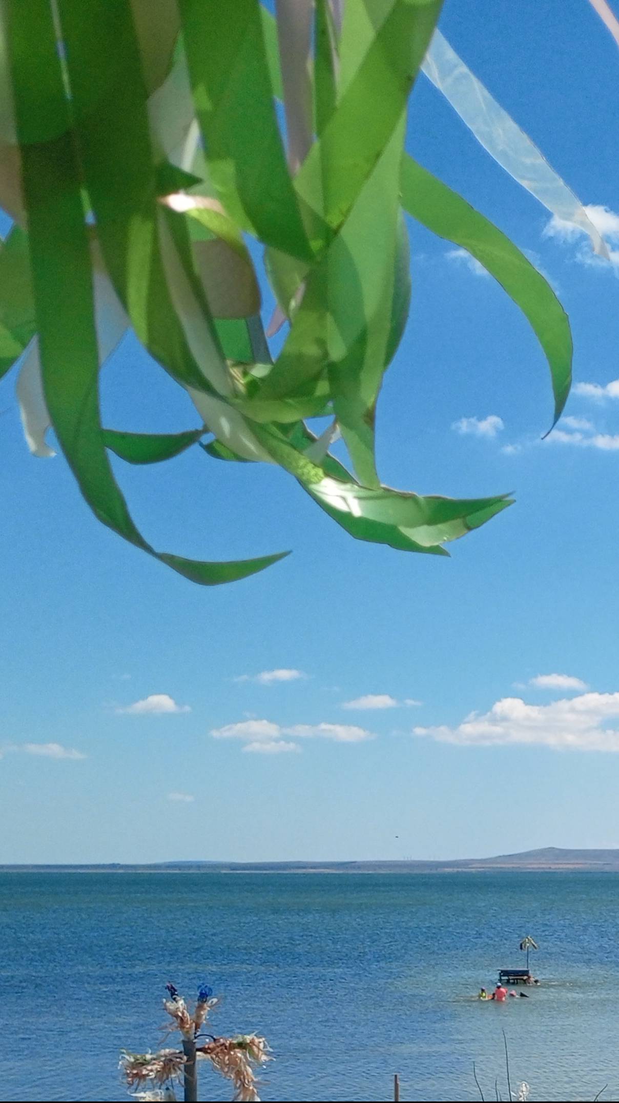 Продается участок в ст.Тамань смотреть онлайн