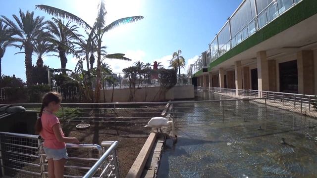 ИЗ ЗИМЫ В ЛЕТО;) Счастлив тот, кто не замечает, лето теперь или зима. смотреть онлайн