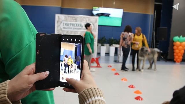 1504 ВХОД С ЖИВОТНЫМИ РАЗРЕШЁН смотреть онлайн