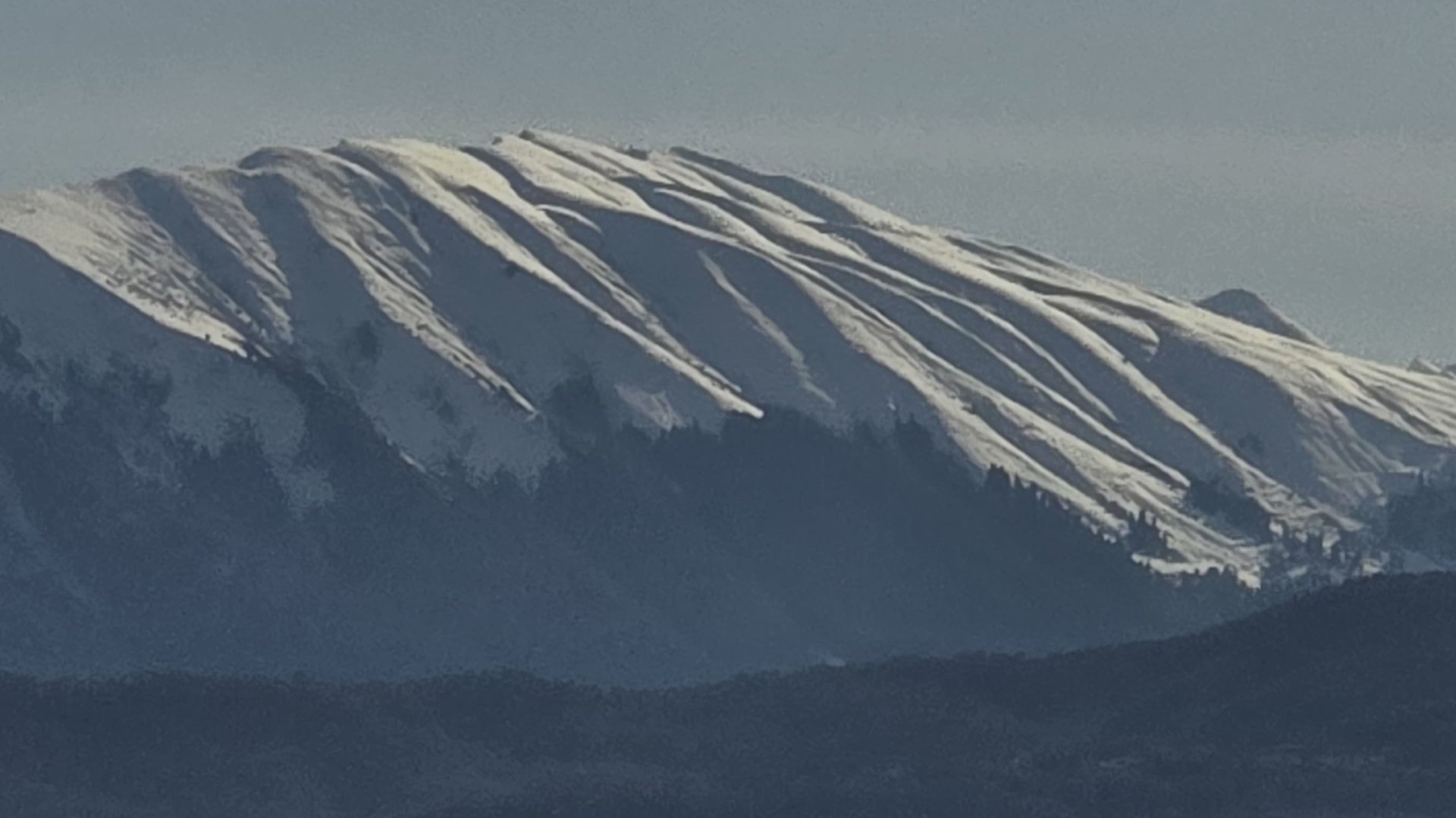 Весна в сириусе 24 марта 2025