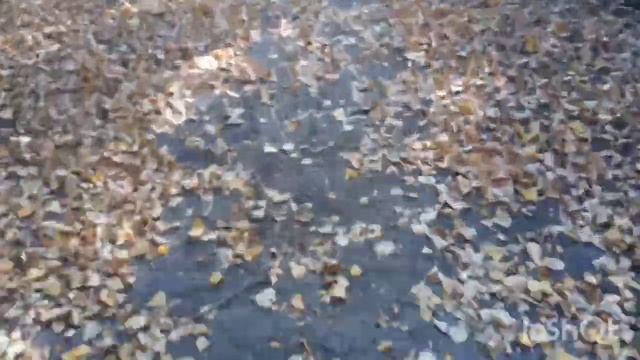 Осенняя песня