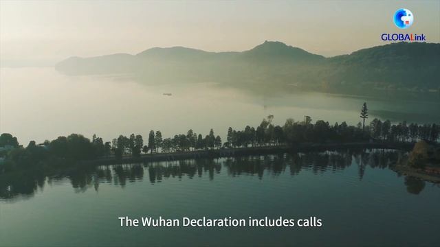 GLOBALink| COP14: Wuhan Declaration adopted on wetlands conservation смотреть онлайн
