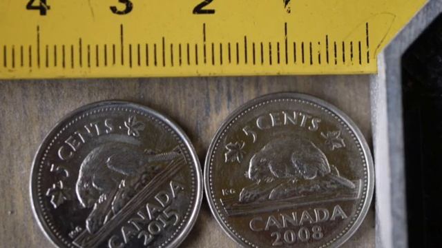 Endangered Taylors Checkerspot Butterfly смотреть онлайн