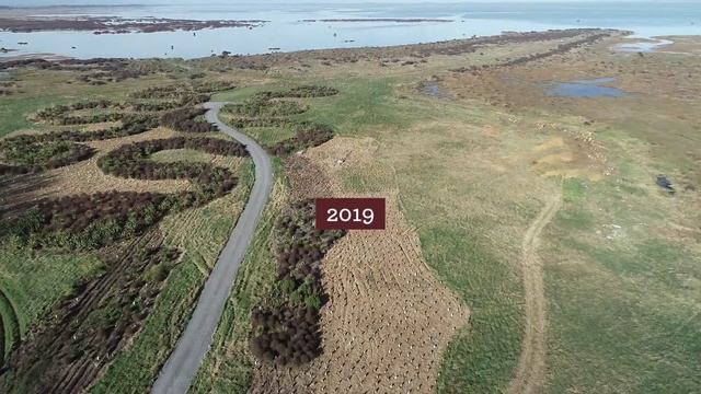 Yarrs Flat wetland forest restoration смотреть онлайн