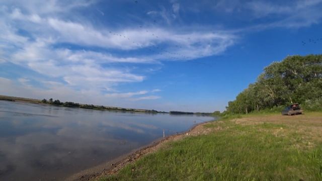 Оторвались по лещу. Устроили соревнования с тестем. День 1. смотреть онлайн