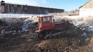 Трактор ДТ-75 На новых гусеницах толкает навоз