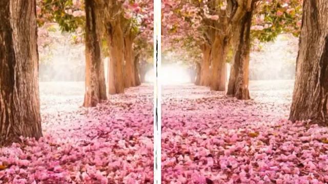 [начало лайф] ос подруги❤☁✨ смотреть онлайн