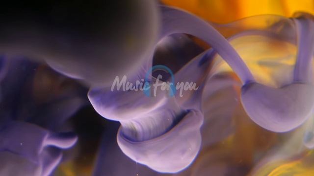 Stress relief music | refresh mindset | music for you смотреть онлайн