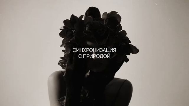 document_5406877124265009832 смотреть онлайн