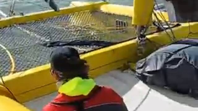 Our catamaran смотреть онлайн