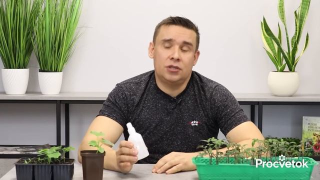 ТЛЯ, МУРАВЬИ И СЛИЗНИ НЕНАВИДЯТ ЭТО АПТЕЧНОЕ СРЕДСТВО, а растения наоборот быстро растут и зеленеют смотреть онлайн