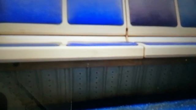 поездка на Московско-Петроградской линии от станции Звёздная до станции Горьковская смотреть онлайн