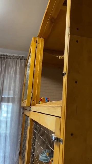 scene_output.mp4 смотреть онлайн