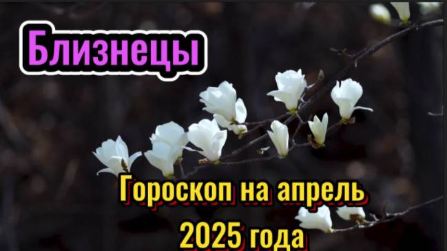 БЛИЗНЕЦЫ! Гороскоп на апрель 2025 года! смотреть онлайн