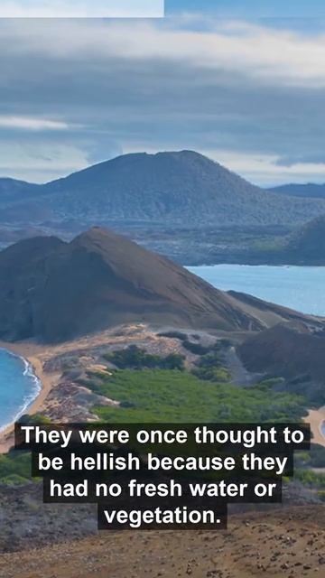 Galapagos Islands смотреть онлайн