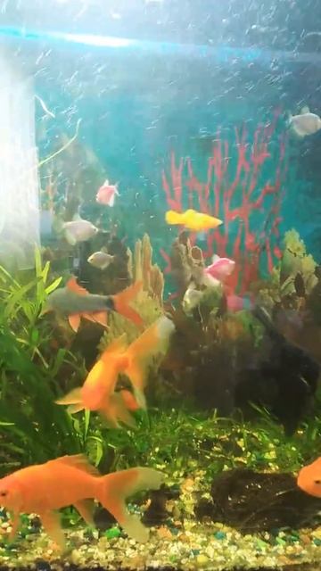 Успокоительное смотреть онлайн