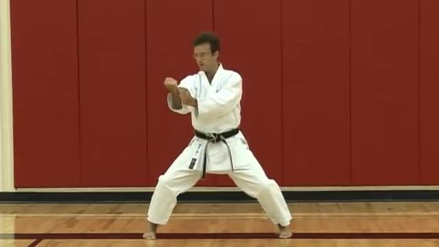 Tekki Nidan - Commentary смотреть онлайн