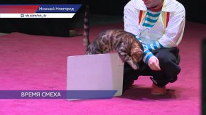 Юрий Куклачёв устроил для нижегородцев представление под названием «Самый добрый клоун»