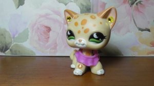 LPS: Поход в магазин за последними новинками ЛПС 2017 года / New rare LPS 2017