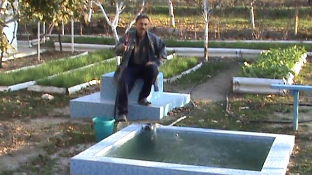 Рыбалка во дворе смотреть онлайн