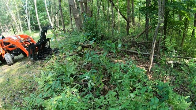Kubota BX- Brush Clean Up!! (Burning Brush + Pulling Down A Tree)