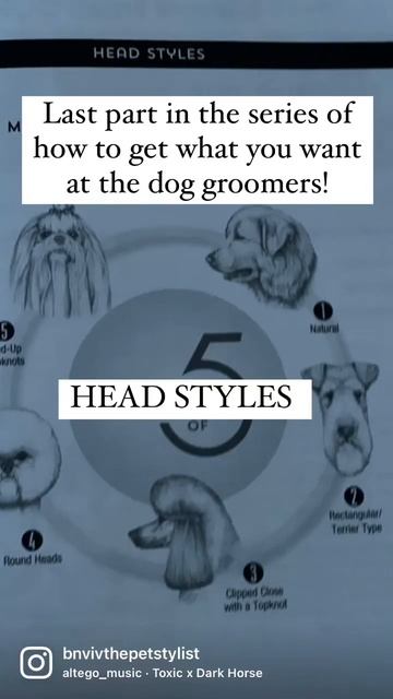 Dog grooming Head Styles смотреть онлайн