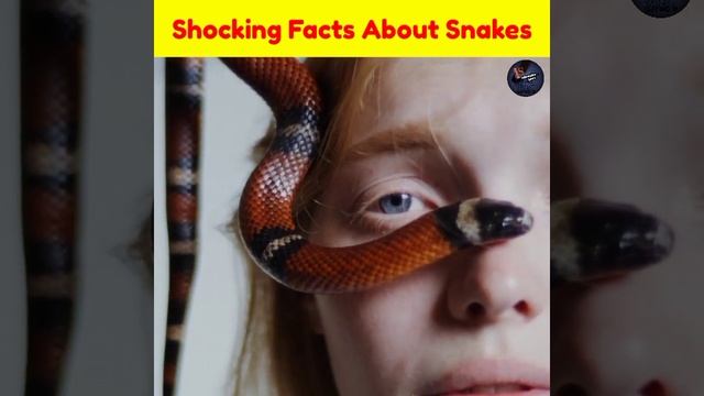 Shocking Facts About Snakes 😱|#shorts #informativeseason смотреть онлайн