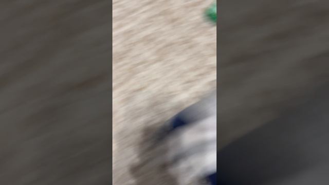 Тачки 1 мультфильм (2006)