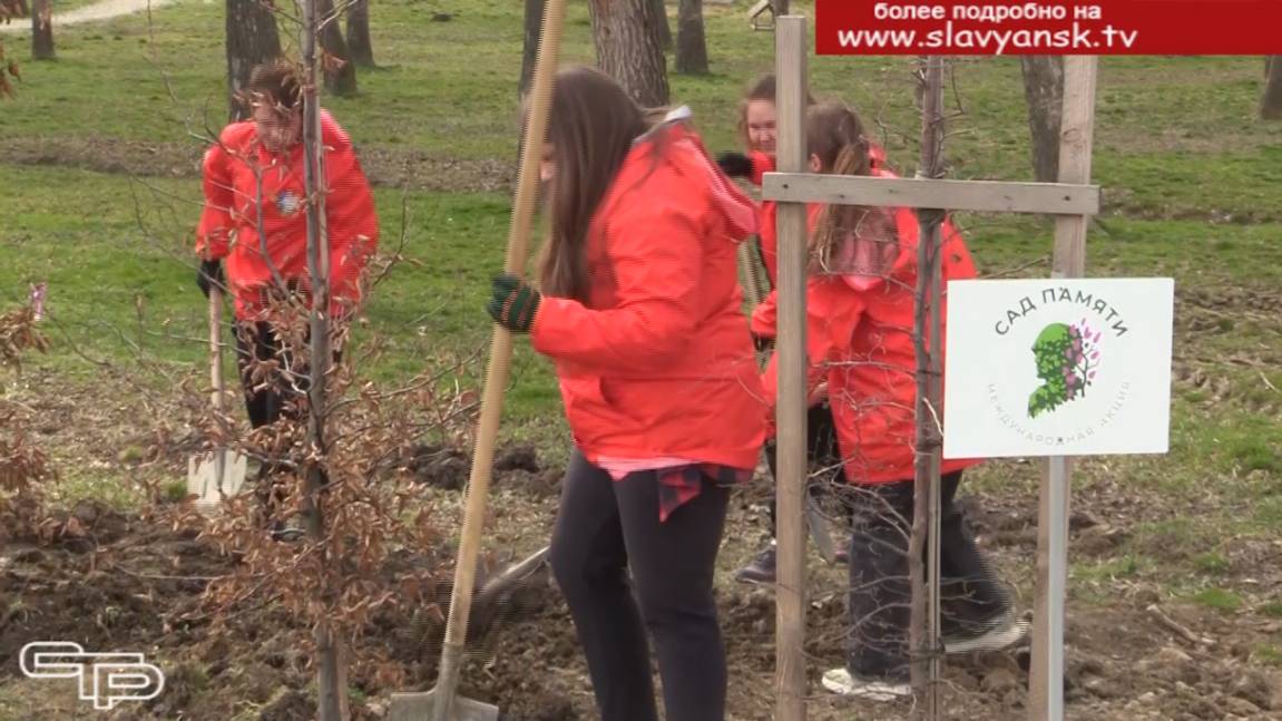 Сад памяти смотреть онлайн