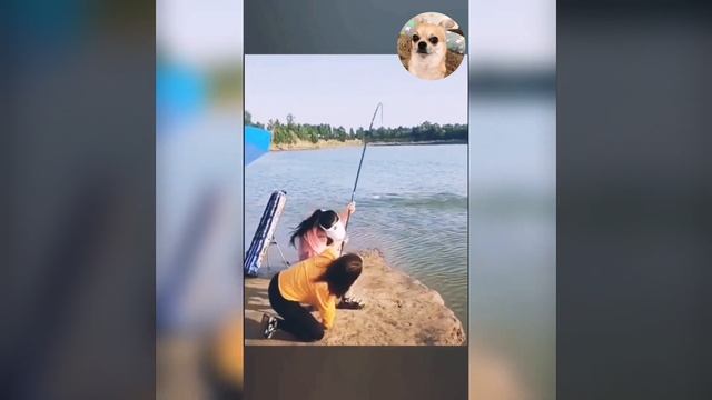 Явно не меньше крокодила смотреть онлайн