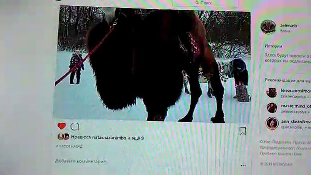 Забираться на верблюда было нелегко зятю Леше смотреть онлайн