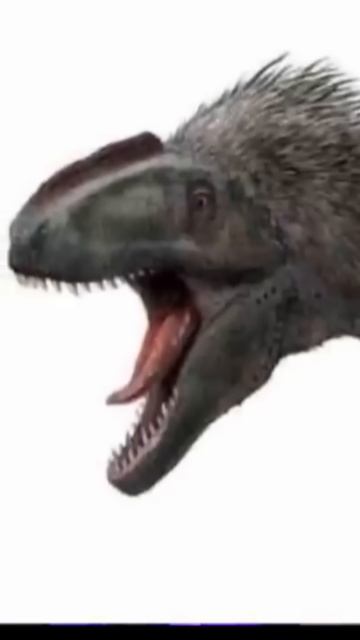 PRIMAL: POR QUE A FANG É TÃO PEQUENA PARA UM T-REX? ESSA TEORIA EXPLICA TUDO!! #shorts #primal смотреть онлайн