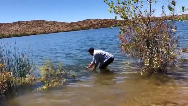 карп 10кг на удочка смотреть онлайн