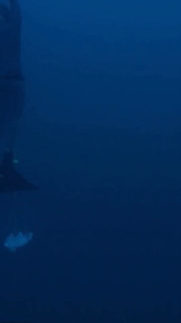 Нырнула на 92 метра #фридайвинг #дайвинг #freedivingworld #рекорд смотреть онлайн